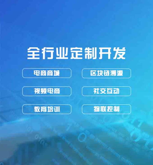 生产软件定制开发app开发大概需要多少钱